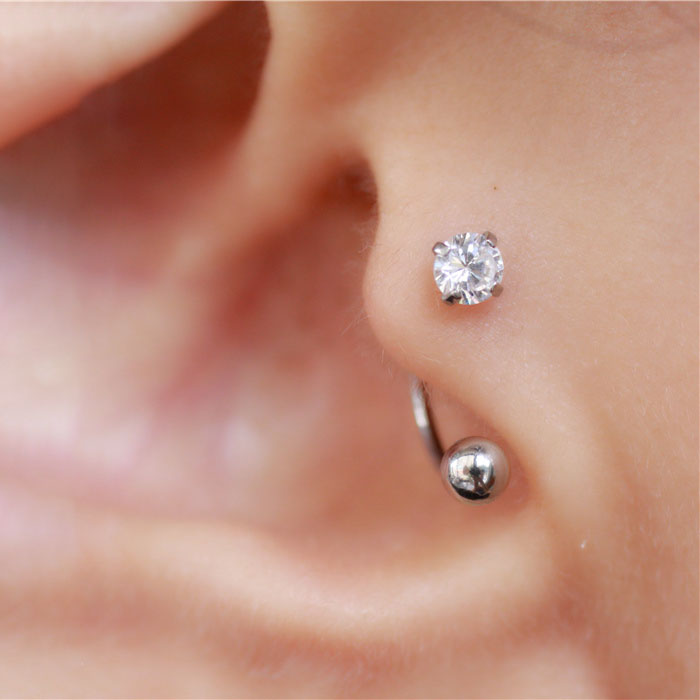1 peça de aço inoxidável tragu - Conch Earring Hoop avaliação e preço