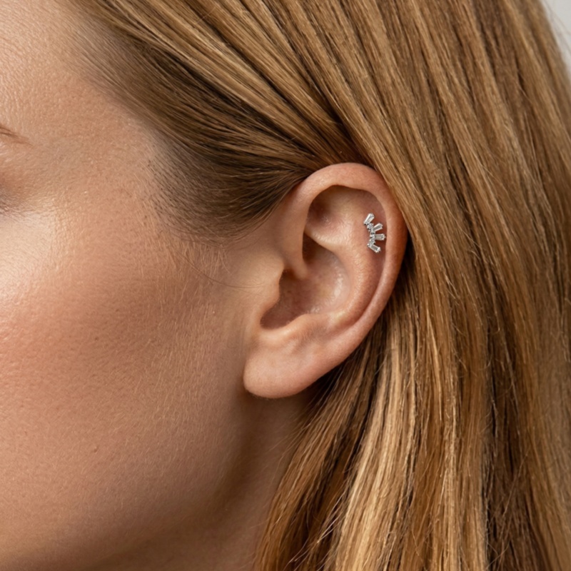 1 Peça Brinco de Titânio ASTM  - Conch Earring Hoop avaliação e preço