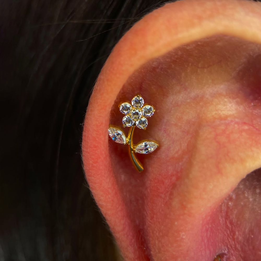 1PC Piercing Labret de Titânio - Conch Earring Hoop avaliação e preço
