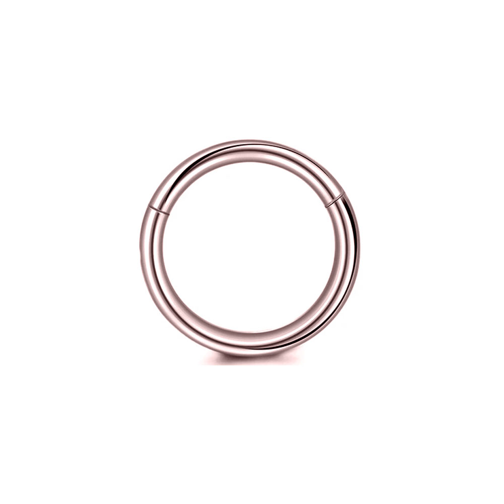 Anéis de nariz com segmento cl - Conch Earring Hoop avaliação e preço